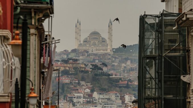 uploaded-image-bebek-erkeklerde-dis-fircalamanin-ogrenilmesi-1697205864469
